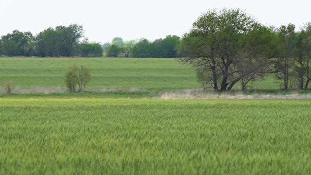 LOT 3 BLOCK 3 DRY CREEK ESTATES, GODDARD, KS 67052, photo 4 of 7